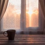 Decorative Privacy Window Film in Denver, North Carolina