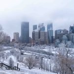 Why window film helps improve energy efficiency in winter by reducing heat loss, enhancing insulation, and minimizing drafts, while also blocking UV rays and protecting furnishings.