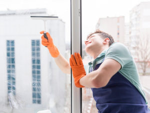 Window Tinting Can Protect Your Furniture From Sun Damage